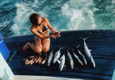 fishing-haul-from-a-fishing-trip-2024-12-04-22-18-36-utc