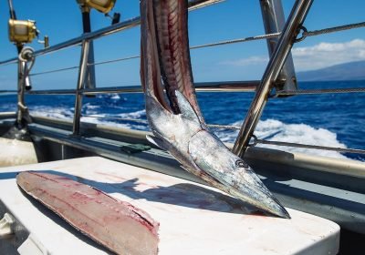 fresh-cut-fish-on-an-ocean-charter-boat-2023-11-27-04-58-08-utc