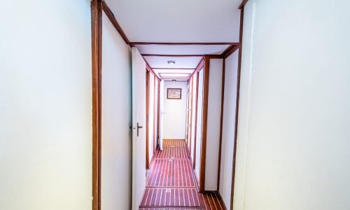 img82